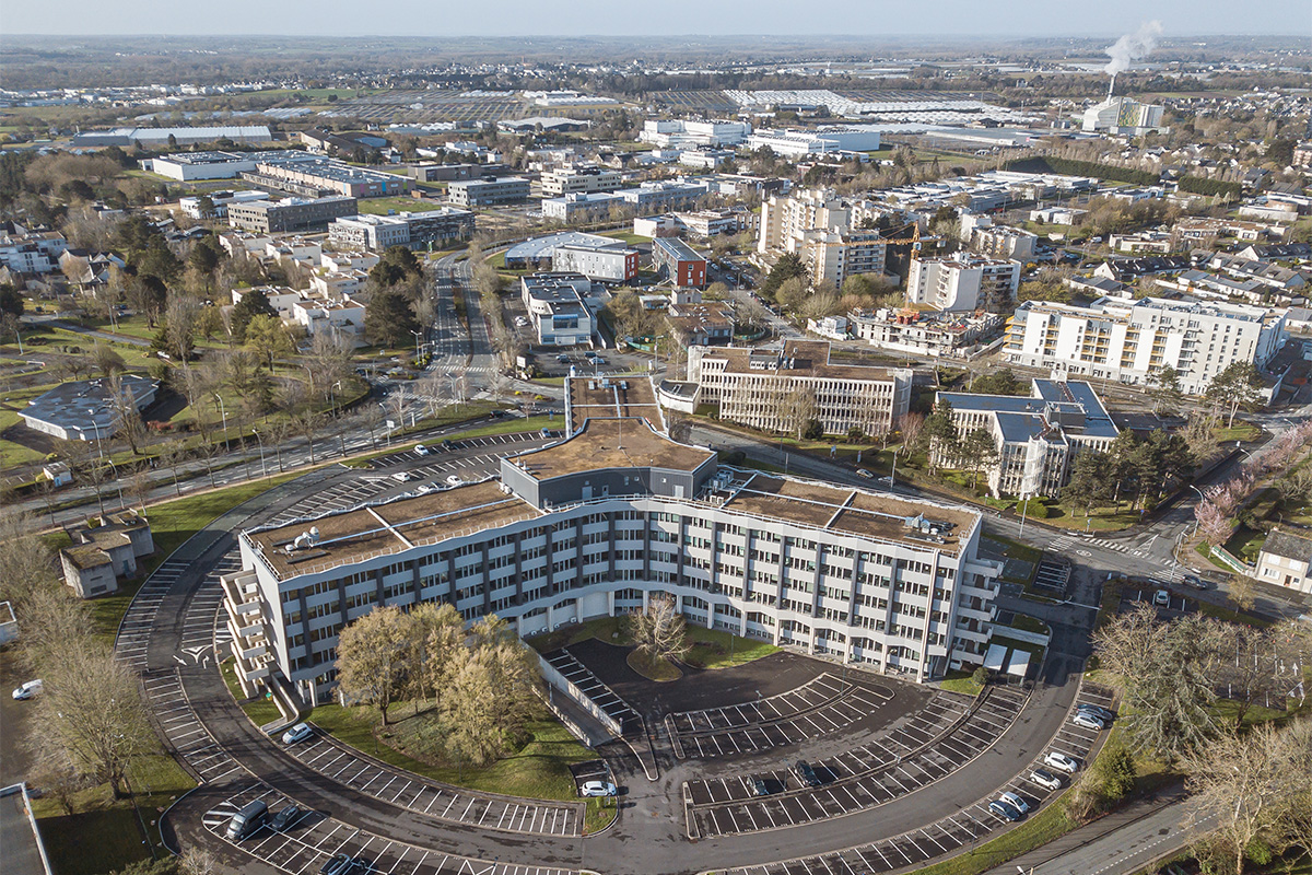 Immobilier d'entreprise
